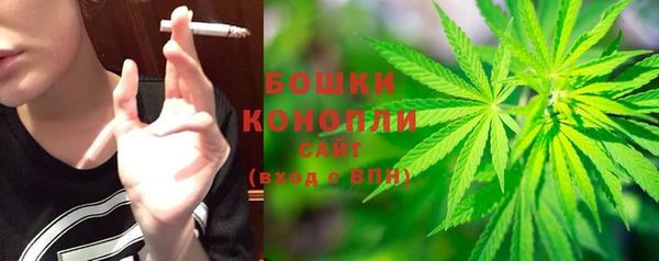 гидра Арсеньев