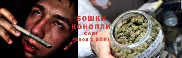 гидра Арсеньев