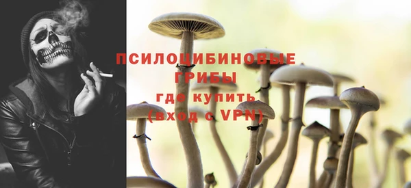 СК Балахна