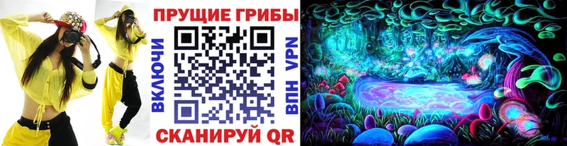 гидра онион  Коломна  Галлюциногенные грибы Cubensis 
